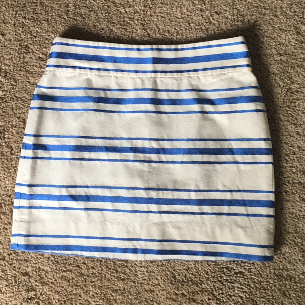 J Crew Skirt